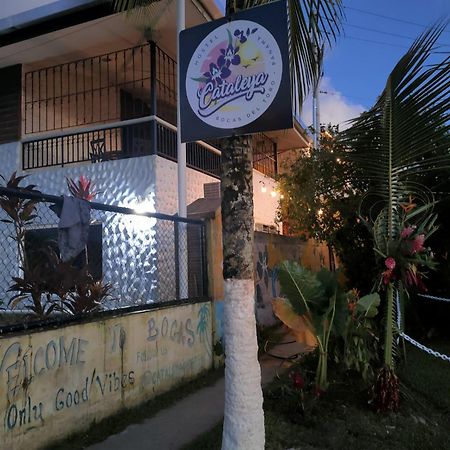 Cataleya Hostel Bocas del Toro Exterior foto